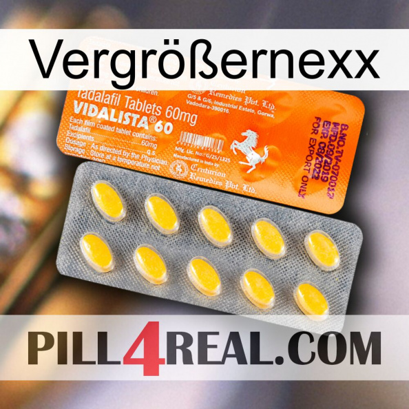 Vergrößernexx new05.jpg